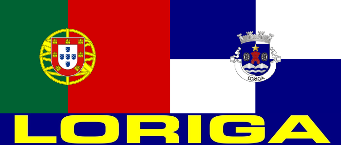 bandeira-de-loriga-e-bandeira-de-portugal-6.png?w=700