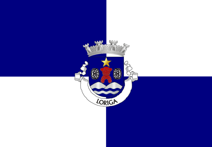 bandeira-desenhada-por-antonio-conde-e-aprovada-pela-comissao-de-heraldica-da-aap-1.png?w=700