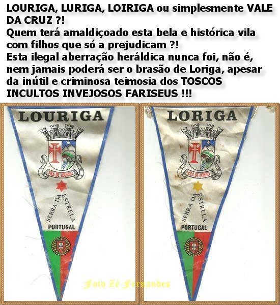 brasao-ilegal-aberracao-heraldica.jpg?w=700